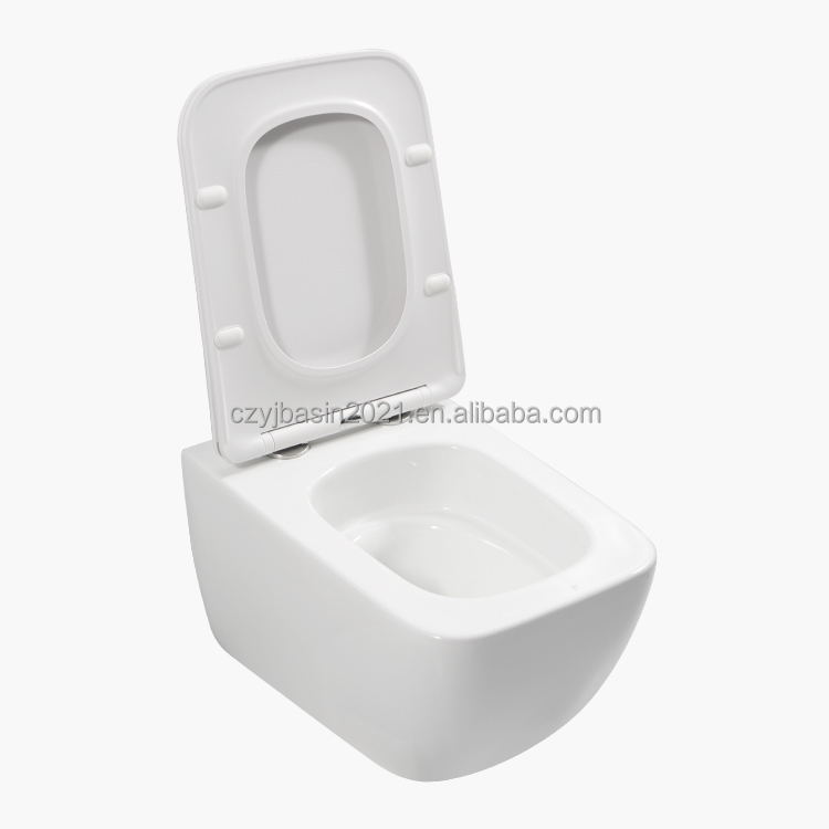 Toilet, standaard toiletset, k - P & C Home Textiles Usa recensie en prijs